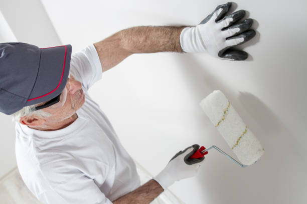 Best Mold Odor Removal Services  in Stepney, CT