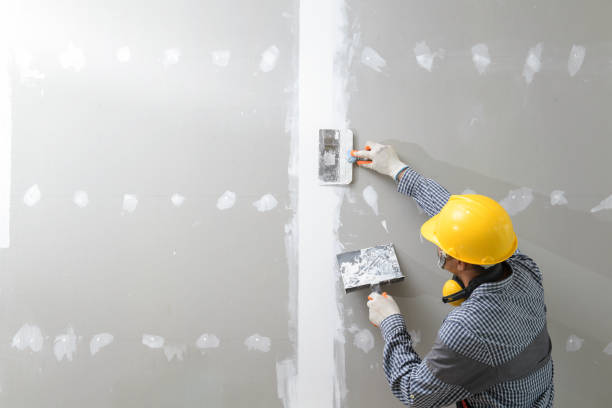Best Crawl Space Mold Remediation  in Stepney, CT