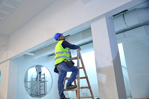 Best Mold Remediation for Vacation Homes  in Stepney, CT